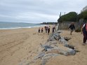 2017-09-29 15-10-43 Circuit entre plage et bocage (Pornichet) FGn